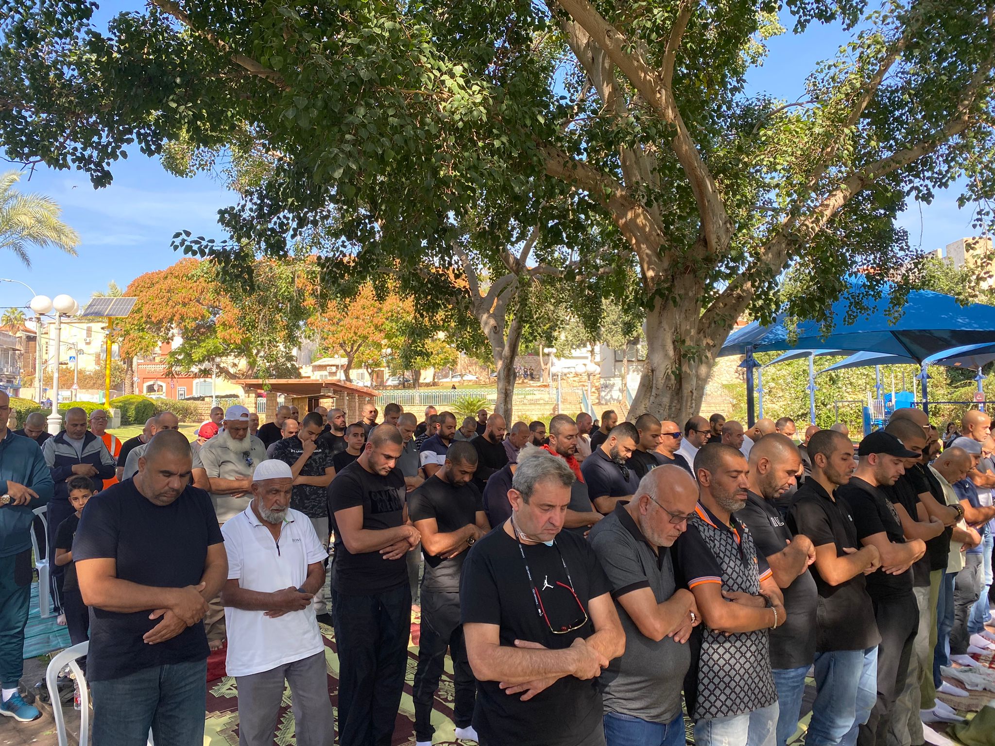 WhatsApp Image 2021-11-12 at 12.06.21 PM (1).jpeg